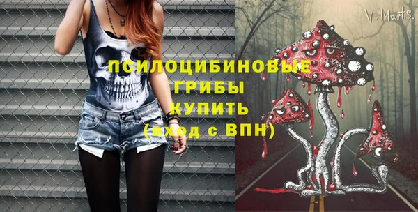 apvp Верхний Тагил