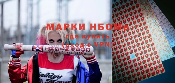 индика Верея