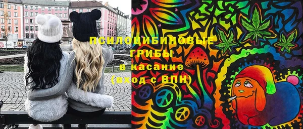 apvp Верхний Тагил
