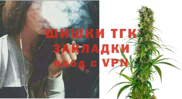 индика Верея