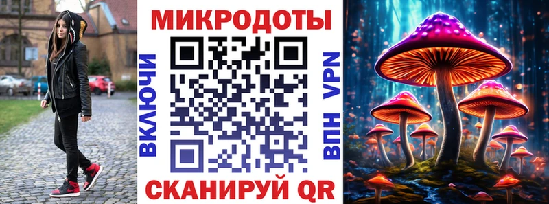 Галлюциногенные грибы Magic Shrooms Новосиль