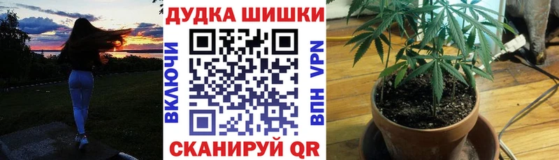 цена   кракен онион  Бошки марихуана марихуана  Новосиль 